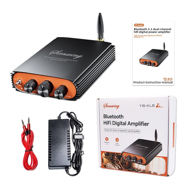 YS-KL5 for 5.3 Dual Channel TPA3255 Chip 600W High Power HiFi Digital Amplifier China