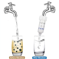 Pomme de douche anti-poussière, filtre à eau, filtre en coton PP purificateur, épilation du métal lourd pour la santé à la maison