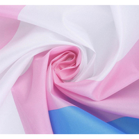 Drapeau en polyester aux couleurs pastel pour les lesbiennes, les homosexuels, les bisexuels, la pansexualité et les transgenres
