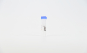 Endonuclease IV <span class=keywords><strong>NFO</strong></span> - Product Image 3