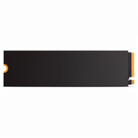 KISSIN 1TB M.2 NVMe SSD PCIe 3.0 X4, Kecepatan Baca 3500MB/s SSD Internal untuk Gaming untuk Laptop, PC Desktop, dan Penyimpanan Ekspansi PS5
