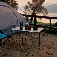 Table pliante portable légère en aluminium ultralégère Camping pique-nique pliable Table de randonnée en plein air