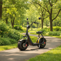 Scooter Eléctrico Citycoco con Doble Asiento y Neumáticos Anchos para Motocicleta Estilo E, Motor de 2000W, Batería de Litio Extraíble, Sensor a Prueba de Agua