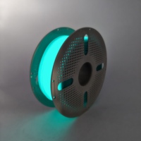 Filament PETG Luminescent 1,75 mm – Plus de 10 Couleurs – Lumière Longue Durée pour Pièces Créatives