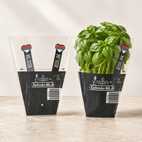 Sacs en plastique transparents personnalisés en gros, sacs trapézoïdaux en CPP pour l'emballage de légumes frais et de produits alimentaires pour supermarchés et fermes