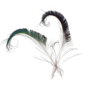 Spada Artigianale Xinyuling con <span class=keywords><strong>Piume</strong></span> di <span class=keywords><strong>Pavone</strong></span> 30-40cm |   <span class=keywords><strong>Piume</strong></span> di Fagiano Naturali Tinte di Qualità Superiore Selezionate per Decorazioni Matrimoniali e Feste - Product Image 3