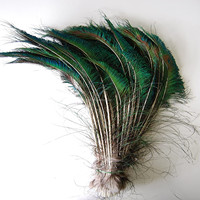 Plumes de paon naturelles de 30 à 100 cm en gros pour la décoration de costumes de carnaval et de danse de la samba