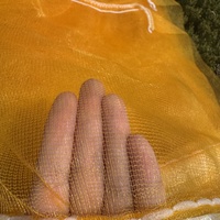Sacs en maille non toxiques et de différentes couleurs pour l'emballage de bois de chauffage de fruits végétaux sac en maille mono