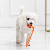 2025 jouets pour chiens interactifs pour animaux de compagnie chiot molaire morsure jouet en caoutchouc cordes élastiques nettoyage des dents de chien mâcher boule d'aspiration jouets corde en Nylon
