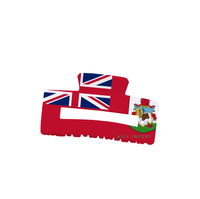 Pinces à cheveux drapeau Antigua pour femmes et filles, pinces rectangulaires antidérapantes, accessoires pour cheveux pour célébrations patriotiques, petits cadeaux