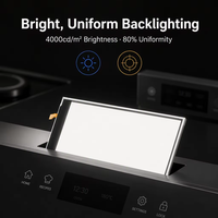 Module d'écran LCD TFT ultra-fin de 3,5 pouces à haute luminosité 4000 cd/m² avec rétroéclairage LED BLU pour affichage lisible en plein soleil dans le secteur industriel