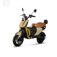 Nouveau Produit Tailg Moto Électrique Scooter 2 Places 1200W Longue Portée 80Km