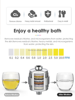 Filtre de douche personnalisé à charbon actif, ensemble de pommeau de douche écologique, haute pression, grand débit, mitigeur de douche numérique à LED