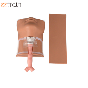 Three Skin-color Cricothyrotomy Senior Cricothyroid Membrane Puncture and Tracheotomy Training <strong>Simulator</strong> Model