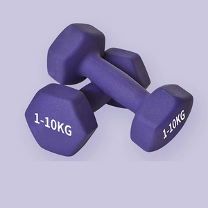 Venta directa de fábrica Juego de mancuernas de peso Ejercicio de gimnasio Juego de mancuernas de hierro fundido colorido - Product Image 2