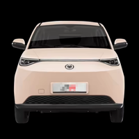 Lancement d'un nouveau produit Véhicule électrique à basse vitesse à propulsion arrière fabriqué en Chine