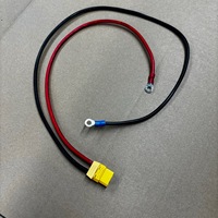 Faisceau de câblage personnalisé pour réfrigérateur commercial, faisceau de câblage interne pour congélateur, assemblage de faisceau de câblage OEM, câble pour équipement de réfrigération