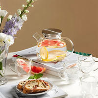 Théière courte et robuste en verre borosilicate transparent avec infuseur, couvercle en acier inoxydable, poignée ergonomique, bec anti-goutte, écologique, pour thé aux fruits