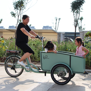 Nouveau <span class=keywords><strong>Tricycle</strong></span> électrique Cargo frontal pour transporter les enfants et les marchandises, vélo néerlandais - Product Image 4