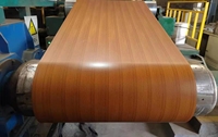 Bobina de Acero Galvanizado con Recubrimiento de Color PPGL, Superficie Mate, PPGI PPGL para Material de Construcción