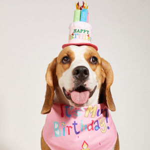 Ensemble Chapeau et Bandana Personnalisés en Polyester Imprimé Chien Mignon pour Anniversaire – Accessoires de Déguisement pour Animaux de Compagnie - Product Image 1