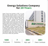 Système solaire hors réseau complet de 5 kW, kit de panneaux solaires avec batterie et onduleur pour solution de stockage d'énergie domestique