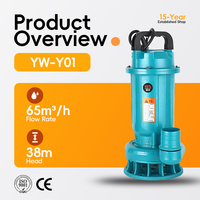 Pompe submersible YW-Y01 220V pour l'irrigation agricole, haute capacité de levage, débit élevé, pompe à eau pure