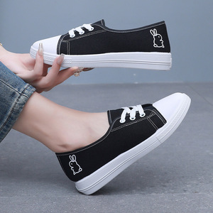 Chaussures décontractées plates pour femmes, best-seller, en plein air, à lacets, souples, légères, respirantes, durables, chaussures décontractées et chaussures en toile - Product Image 1