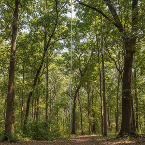 Bâton télescopique en fibre de carbone ASEK pour Treat Asia Hornet 30ft 15m 30m 20m / fabriqué en Chine 25 mètres Conception spéciale - Product Image 5