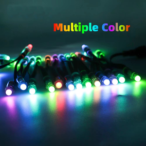 Waterdichte Pvc Bullet Rgb <span class=keywords><strong>Led</strong></span> <span class=keywords><strong>Pixel</strong></span> Licht Ip67 12V Smart <span class=keywords><strong>String</strong></span> Licht Voor Tuin Kerst Buiten Gebruik - Product Image 6