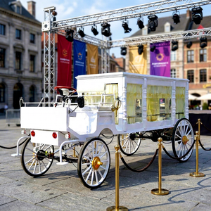 Cercueil électrique de haute qualité pour funérailles, chariot funéraire, chariot à cercueil à vendre - Product Image 1