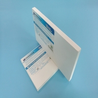 Feuille de mousse PVC blanche Potentech Matériau d'impression idéal pour les enseignes et les graphiques
