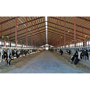 Granja Moderna de Construcción Rápida y Bajo Costo, Estructura de Acero para Ganado, Establos para Cerdos, Ovejas, Cabras y Vacas - Product Image 2