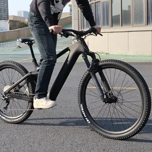 Yetişkinler için 17-21kg karbon Fiber bisiklet 29 Mtb 29 dağ bisikleti bisiklet satılık karbon eMTB 29