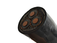N2XSY Elektrisches Stromkabel Kupferleiter XLPE PVC-Mantel Kupferband-Abschirmung für Industriecomputer