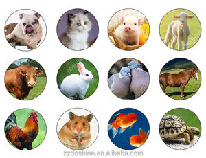 Hochleistungs-Maschine zur Herstellung von automatischen Fisch ködern Koi-Fischfutter-Herstellungs maschine - Product Image 3