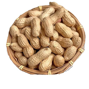 Cacahuetes Naturales Premium, Grado Comercial, Tostados, Crudos, para Venta al por Mayor en el Mercado Internacional - Product Image 1
