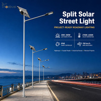 Lampadaire solaire 6M30W à panneau mono pour régions tropicales et zones à forte luminosité