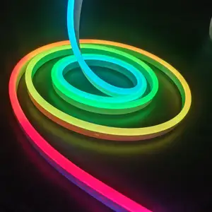 Prezzo all'ingrosso WS2811 WS2812 24V RGB indirizzabile Smart silicone flex neon strip light neon light kit