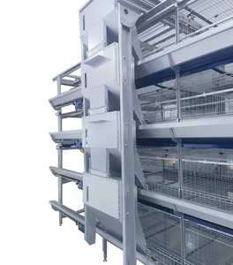 Gabbia Automatica per Polli in Acciaio Tipo H, Nuova Zincatura a Caldo, Controllo Accurato della Temperatura, Lunga Durata per Allevamento di Polli - Product Image 2