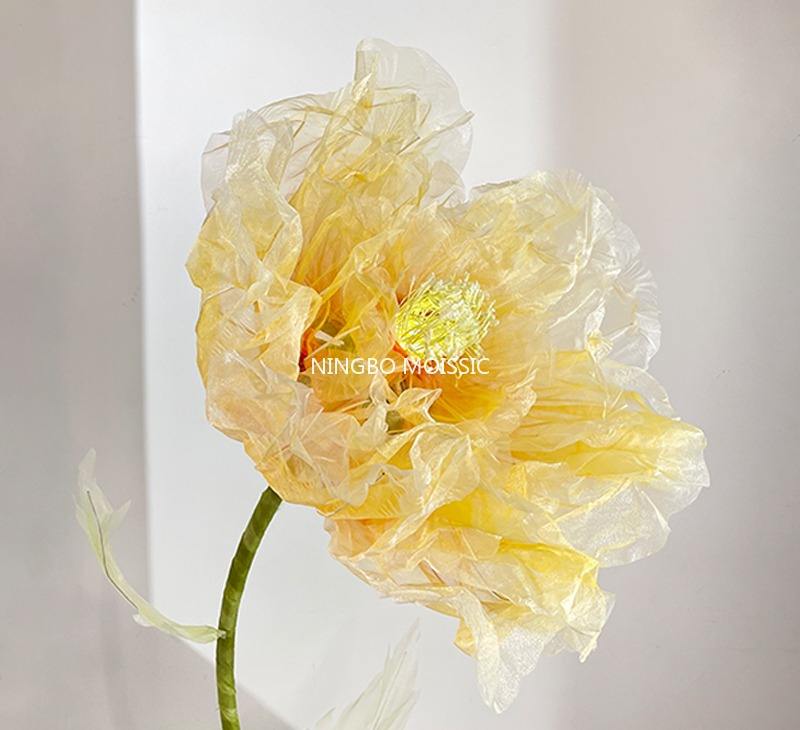 ส้มแชมเปญ