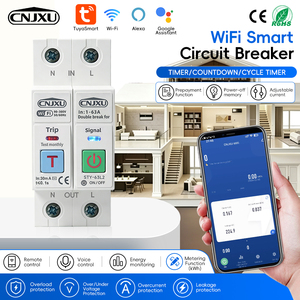 Disjoncteur intelligent TUYA 1-63A avec Wi-Fi, mesure de tension et de courant, protection contre les fuites, relais de coupure L+N 110V 230V - Product Image 2