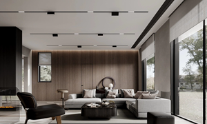 Système d'éclairage sur rail magnétique LED 48V 20mm en aluminium, spots suspendus ou encastrés pour projets commerciaux, bureaux, appartements, restaurants - Product Image 5