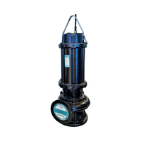 Pompes submersibles pour eaux usées LOONA 220v 380V WQ, haute pression, AC, robustes, 2 pouces, traitement des eaux usées, acier inoxydable