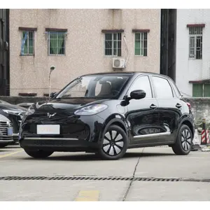 Offre Spéciale SGMW Wuling Binguo 2023 333km Master mind connection + modèle mini nouvelle énergie voiture électrique le moins cher