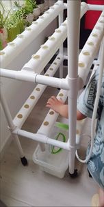 <span class=keywords><strong>Esponja</strong></span> <span class=keywords><strong>de</strong></span> plantación hidropónica multifuncional <span class=keywords><strong>cultivo</strong></span> sin suelo plantación <span class=keywords><strong>esponja</strong></span> <span class=keywords><strong>de</strong></span> filtro <span class=keywords><strong>de</strong></span> espuma PU <span class=keywords><strong>de</strong></span> celda abierta - Product Image 4