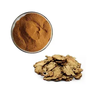 Hot Sale Herbal Plant Ligusticum Chuanxiong Extract Rhizoma Chuanxiong Extract Powder