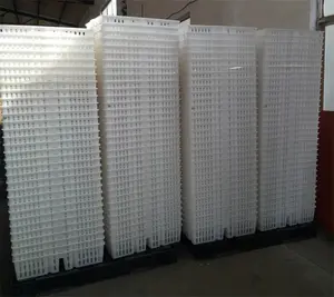 Chicken Cage 680*490*160mm Virgin PP Transportation Chicken Cage