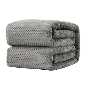 Plaid de canapé en polaire corail ananas à <span class=keywords><strong>maille</strong></span> unie, épaissi en flanelle, style nordique, toutes saisons, pour pique-nique et hôpital - Product Image 2