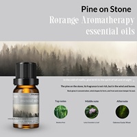 Diffuseur de parfum pour voiture en bois, luxe léger, compact, parfum longue durée, petit chat mignon, accessoire de décoration